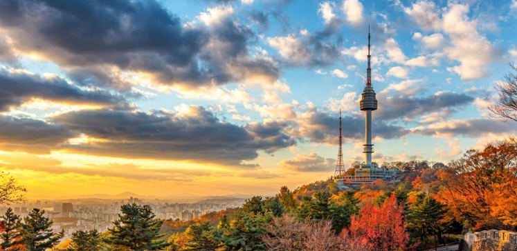 Korea Insider Pass